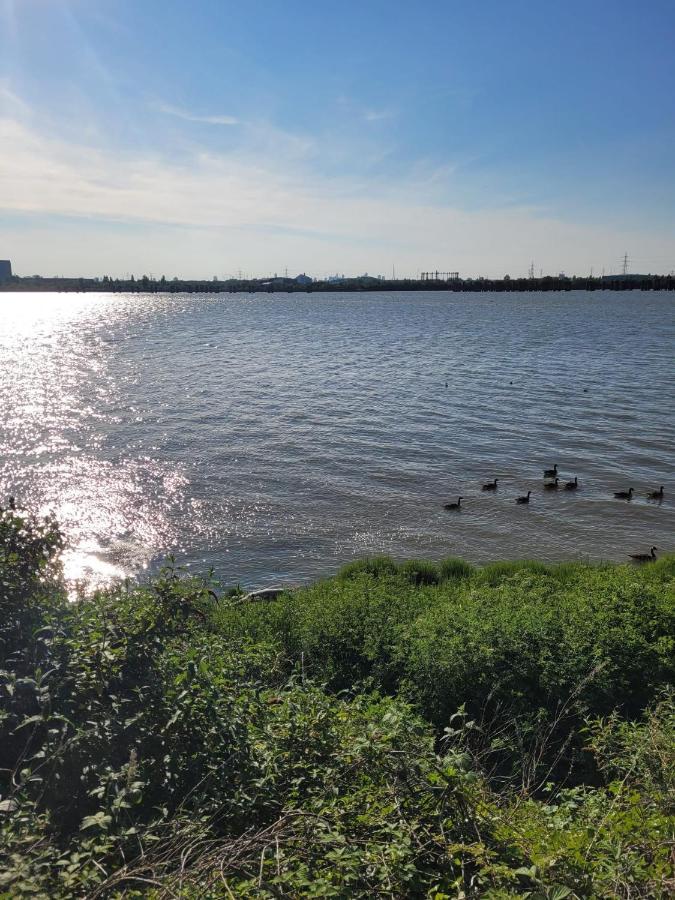 Fantastic Studio, Private Bathroom And Mini Kitchen. Thamesmead  Eksteriør billede